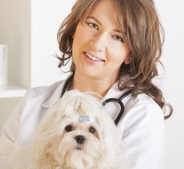 Should the hair in your dog’s ears be plucked?