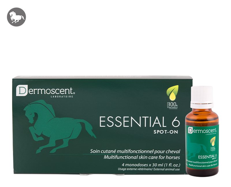 Essential 6® spot-on for horses