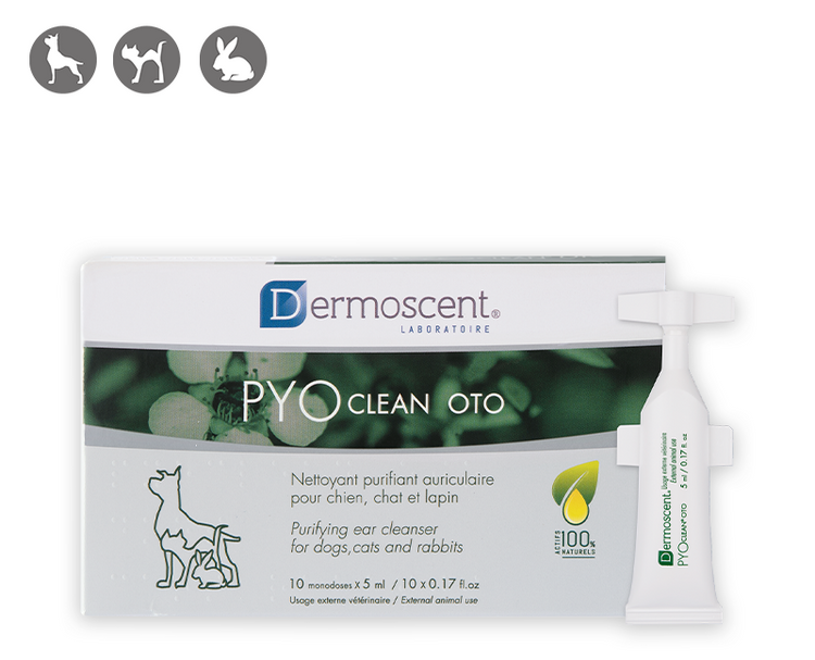 PYOclean® Oto