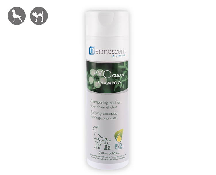 PYOclean® Shampoo
