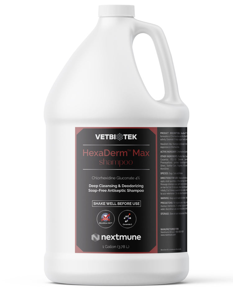 HexaDerm Max Shampoo