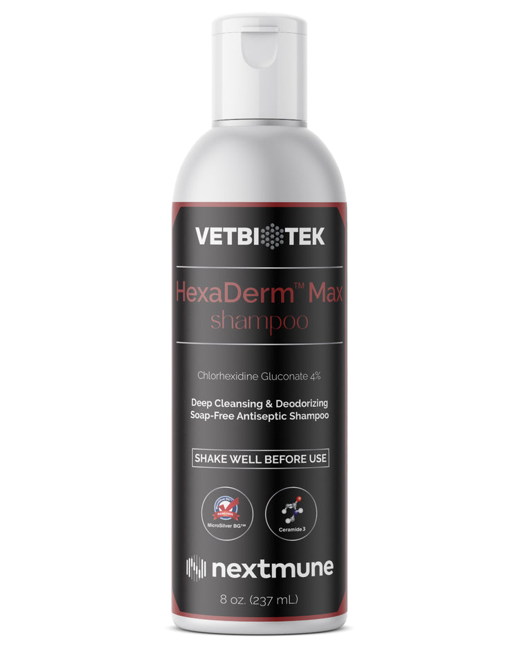 HexaDerm Max Shampoo