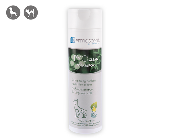 PYOclean® Shampoo - Main Image