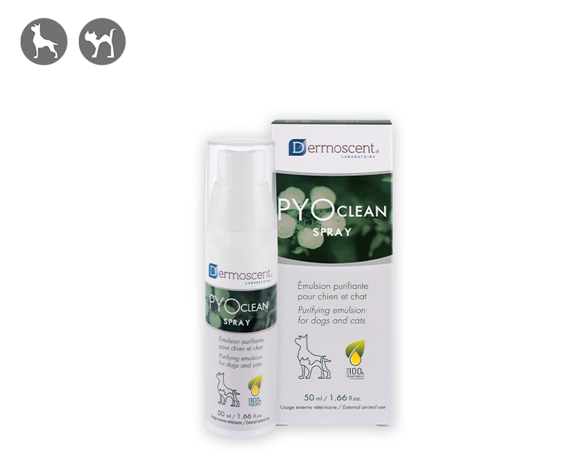 PYOclean® Spray